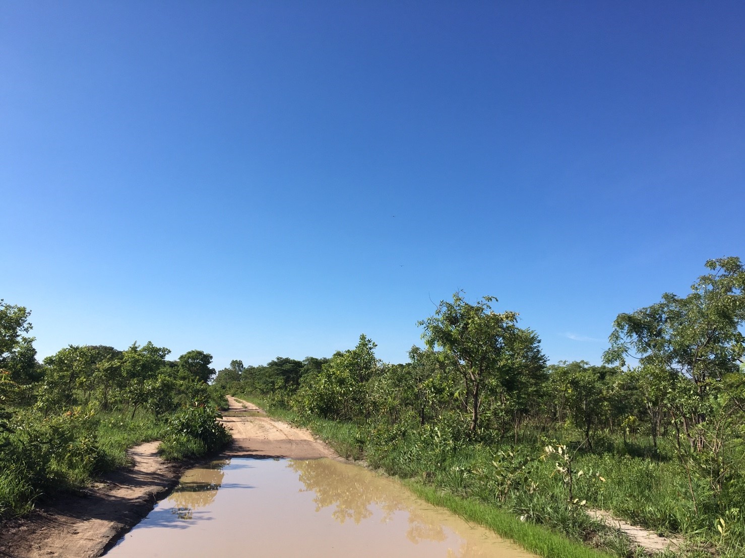 ザンビアの川