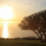 すべてはここから。ソウェト訪問が与えた影響【ヨハネスブルグ・南アフリカ】