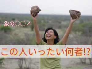 ALL ABOUT AFRICAに象のUNKOが乗り込んできたー!!