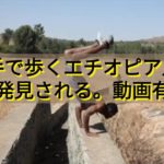 手で歩くエチオピア人が発見される。（動画あり）