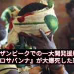 モザンビークでの一大開発援助「プロサバンナ」が大爆死した理由【プロローグ】