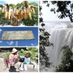 世界食料デー月間!国際栄養士さんと一緒にザンビア料理を満喫しよう!