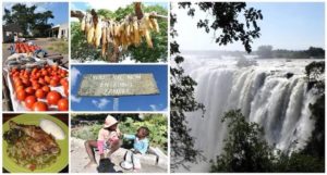 世界食料デー月間!国際栄養士さんと一緒にザンビア料理を満喫しよう!