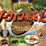 【最新情報】劇場版「ダーウィンが来た!アフリカ新伝説」映画化決定!