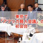 東京で「アフリカ賢人会議」の初会合