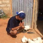 日本人初！セネガルで450羽を売り切った29歳大学生の養鶏家