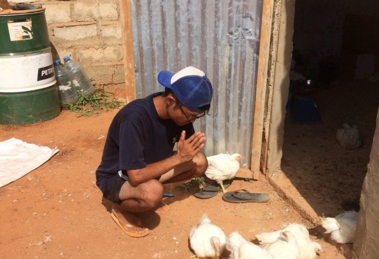 セネガルで鶏300羽を売り切った方法-養鶏ビジネスに奮闘する日本人-