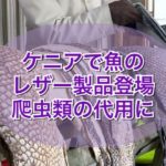 ケニアで魚のレザー製品登場!爬虫類の代用に。