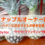 【パイナップルオーナー募集】ベナンに住む子どもの夢を応援!【クラウドファンディング】