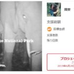 【残り2日!】野生のゾウを密猟から救いたい!【クラウドファンディング】