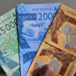 西アフリカ15カ国、2020年に単一通貨「ECO」導入へ