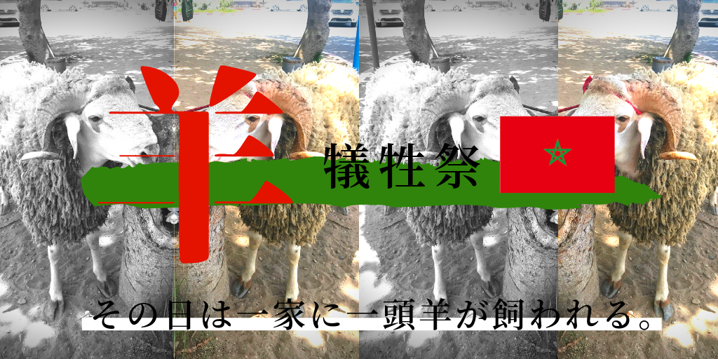 住んでるからこそ分かるモロッコ生活。ラマダーンと「羊」犠牲祭