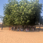 留年制度に午後から再登校!? セネガルの小学校ってどんなとこ？