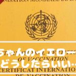 【黄熱予防接種】赤ちゃんのイエローカード、どうしたらいい👶?