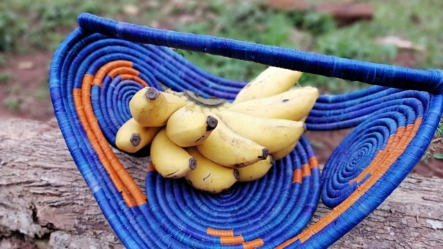 【polca挑戦中】地域経済の活性化のカギ「バナナ」を探りに、ウガンダへ行きます！