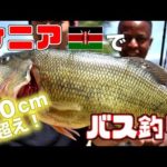 ケニアでカバ見ながらブラックバス釣ってさばいて食べる！？《Cheka TV通信 vol.1》