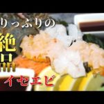 これであなたもケニアで伊勢海老さばけます。《ChekaTV通信vol.7》