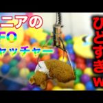 ケニアのUFOキャッチャー色んな意味でひどすぎるｗｗ《ChekaTV通信vol.15》