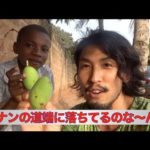ベナンの道端事情！身長差コンビでお散歩してみた【アフリカ系男子のベナン暮らし２】