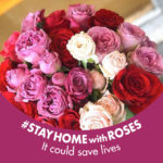 緊急企画! Stay Home with Roses 数量限定販売!