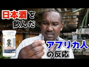 ケニアでワンカップ酒飲んでもらったらみんなノリノリ《ChekaTV通信vol.69》