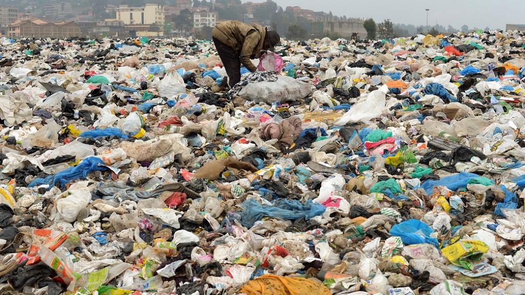 ケニア 保護地域での使い捨てプラスチックの使用を禁止