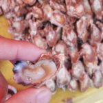 旅人が厳選する本当に美味しいアフリカグルメ。あの魚介が、100個で360円！？