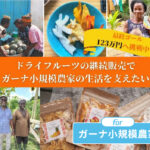 【クラファン】サステナブルなドライフルーツを日本へ,ガーナの小規模農家を支えたい!