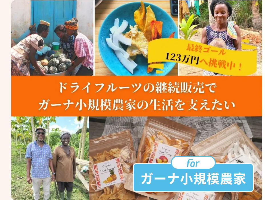 【クラファン】サステナブルなドライフルーツを日本へ,ガーナの小規模農家を支えたい！